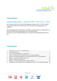 Expertengespräch "Systemprüfer" am 02.11.2023